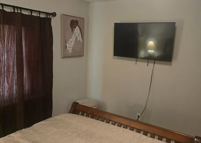 The Wild Flower Apartment Pensacola